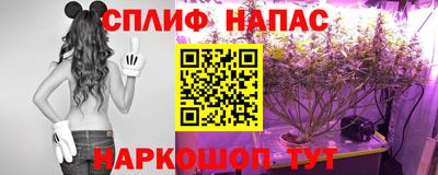 прущие крисы Будённовск