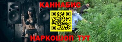 прущие крисы Будённовск