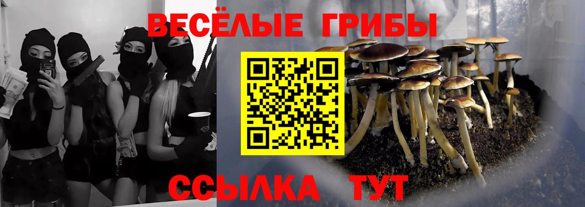 Псилоцибиновые грибы Magic Shrooms Обнинск